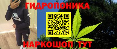 сатива Краснознаменск