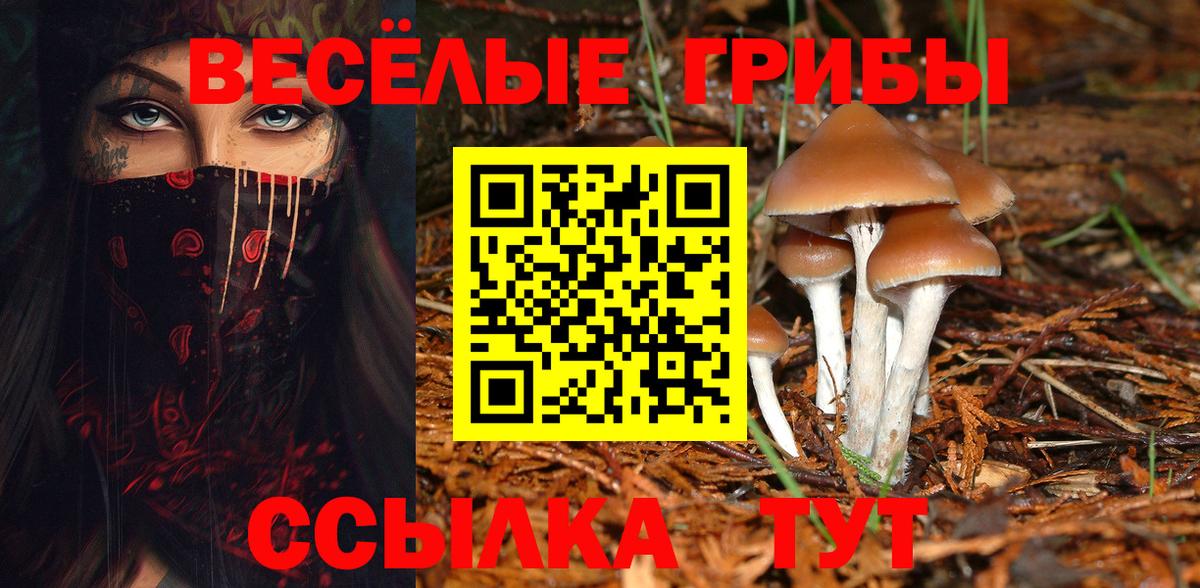 Псилоцибиновые грибы Psilocybe Ирбит